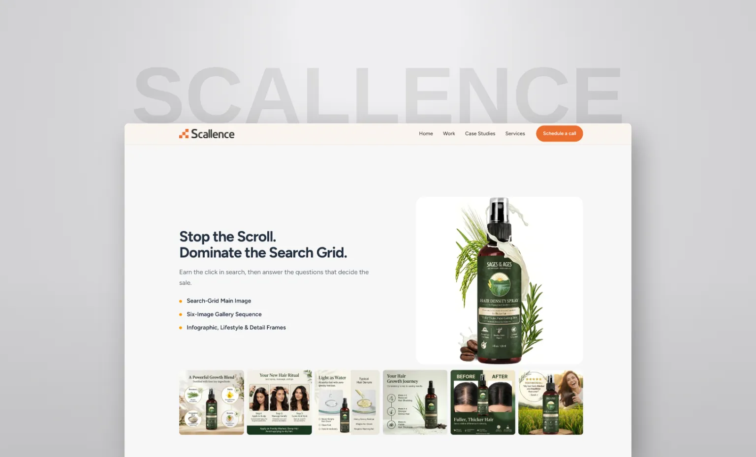 Scallence - Main View 3