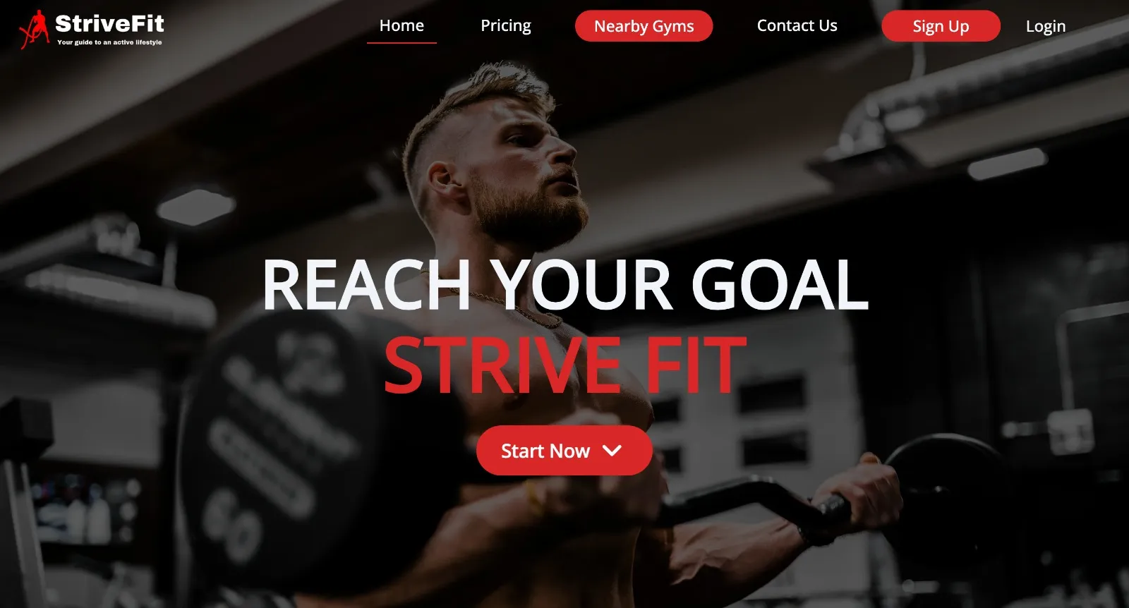 StriveFit - Main View 2